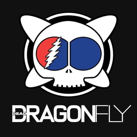 Dead Dragonfly band logo featuring a white skull with cat ears and split-color eyes on black background